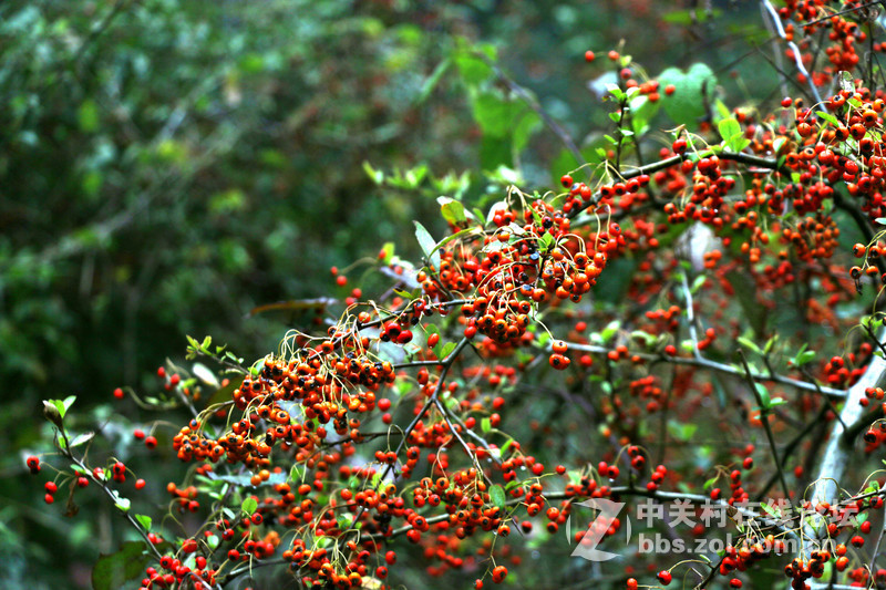 远离尘嚣，山清水秀