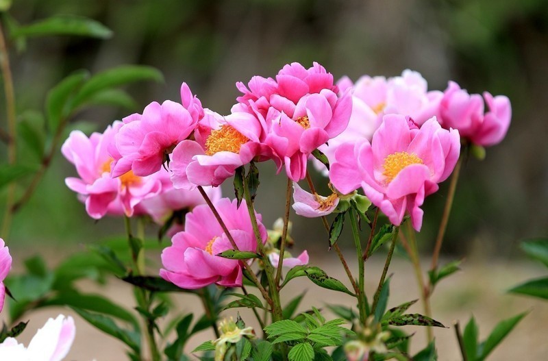 走进中江凡龙村花千谷