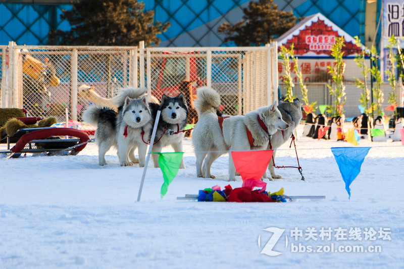 赶上了好天气---有可能是这个头的要换了