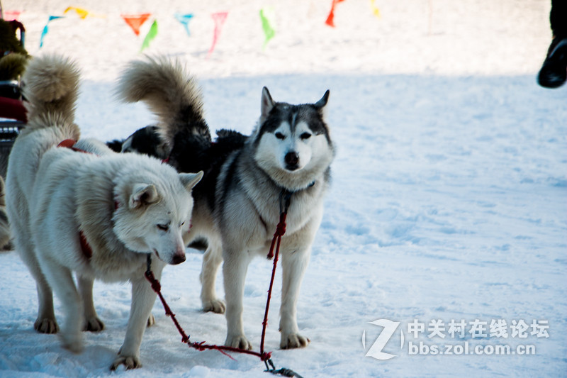 赶上了好天气---有可能是这个头的要换了