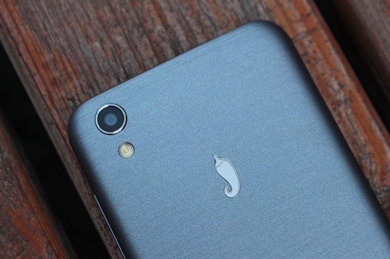 为啥这么任性？红辣椒任性版+0元新体验