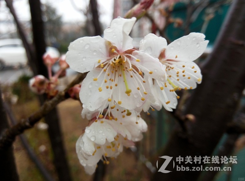 金立ELIFE S5.5精美赏析