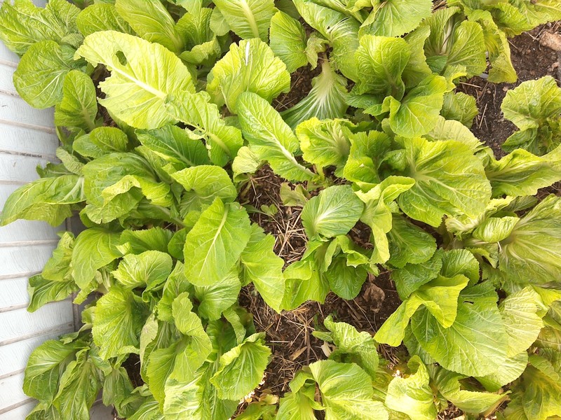 #我是【爱玩】一族，爱国者X86首发体验#开箱试用及详细评测