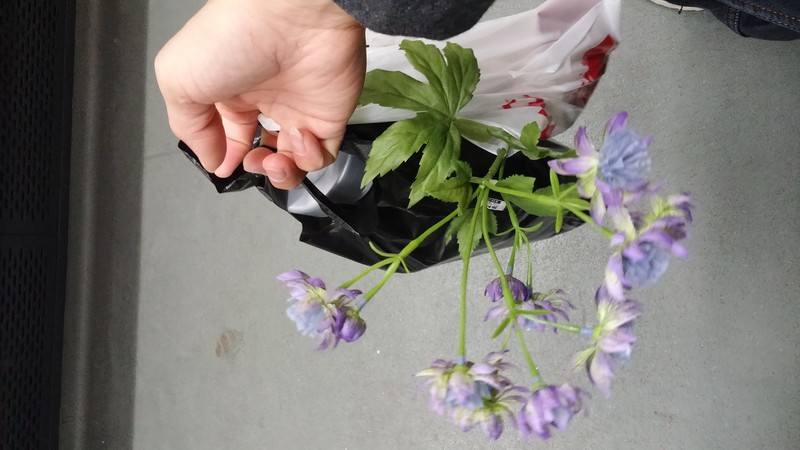 G3 电信版日常拍照效果欣赏