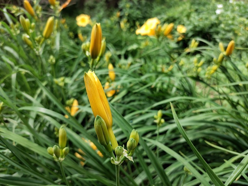 魅族17Pro评测：妥协与坚持并存，均衡但不完美