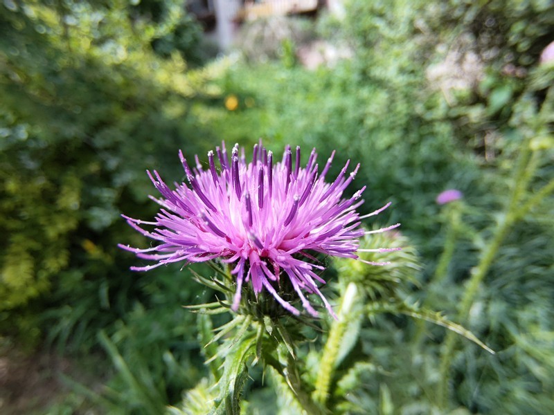 魅族17Pro评测：妥协与坚持并存，均衡但不完美