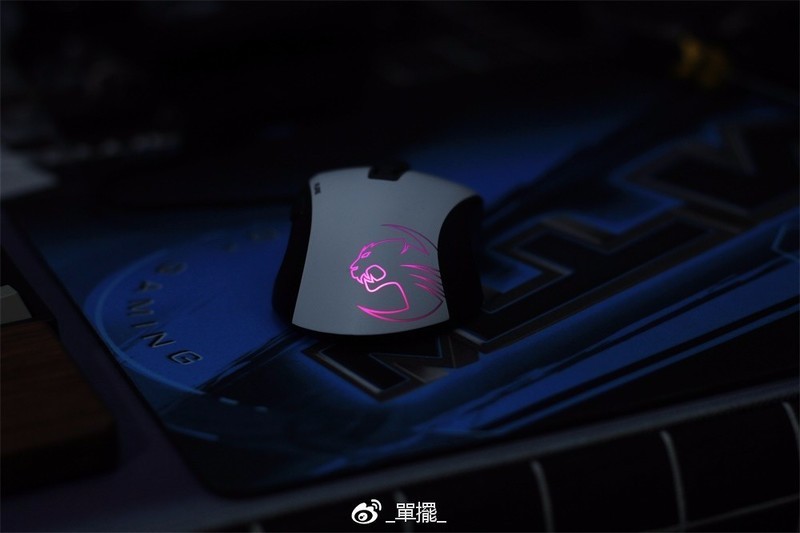 【單擺出品】冰豹Kone Pure夜枭-熊猫版 游戏鼠标评测