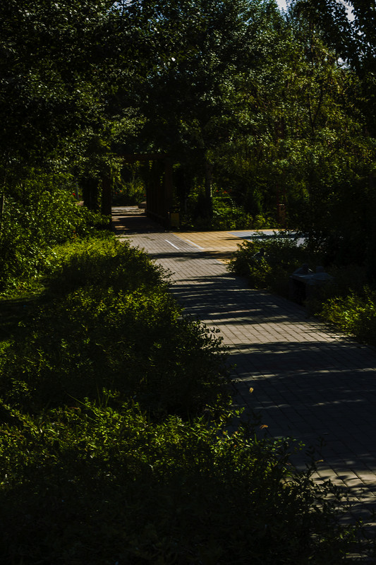 小痰盂的构图和光影