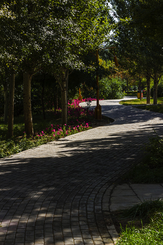 小痰盂的构图和光影