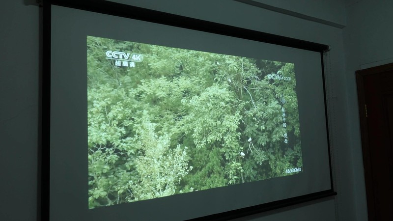 领势LINKSYS MR9000X-AC3000M测评：智能组网新体验