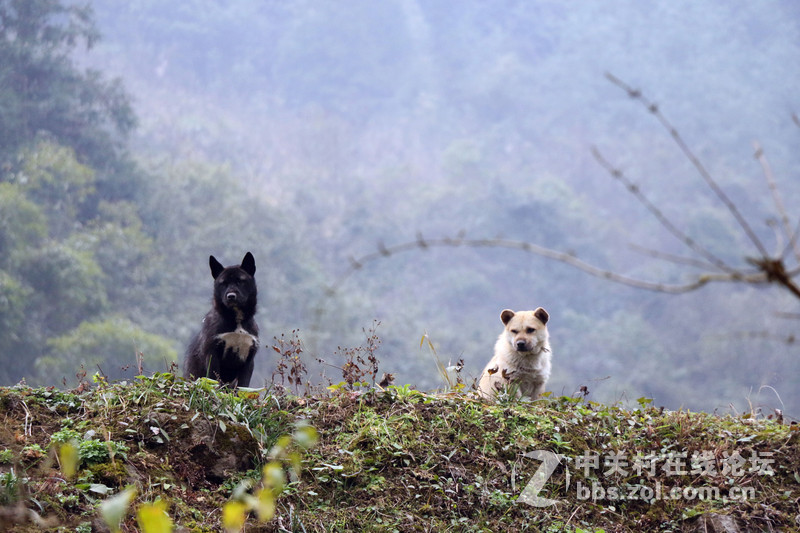 遠離塵囂山清水秀