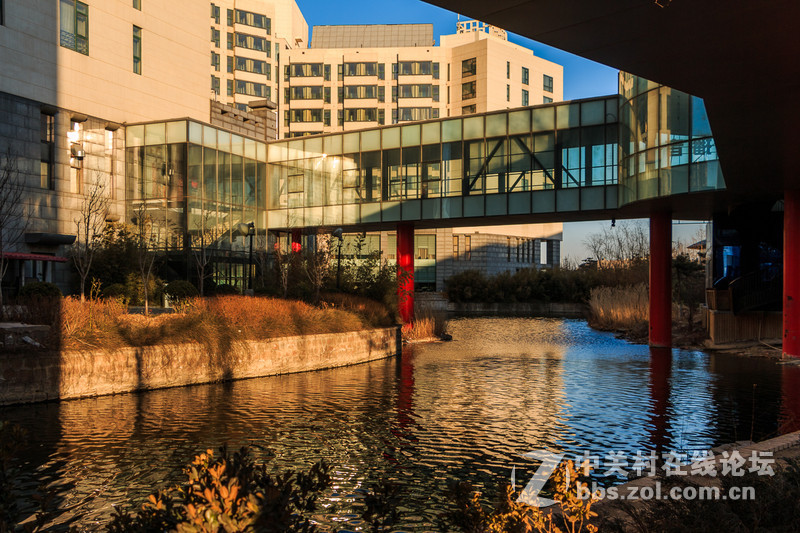 赶上了好天气---有可能是这个头的要换了