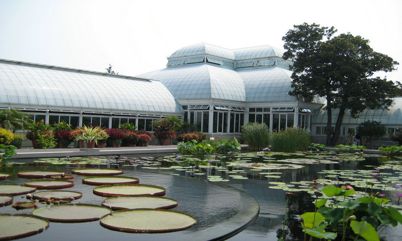 1280×768高清壁纸，喜欢就来拿，第58波