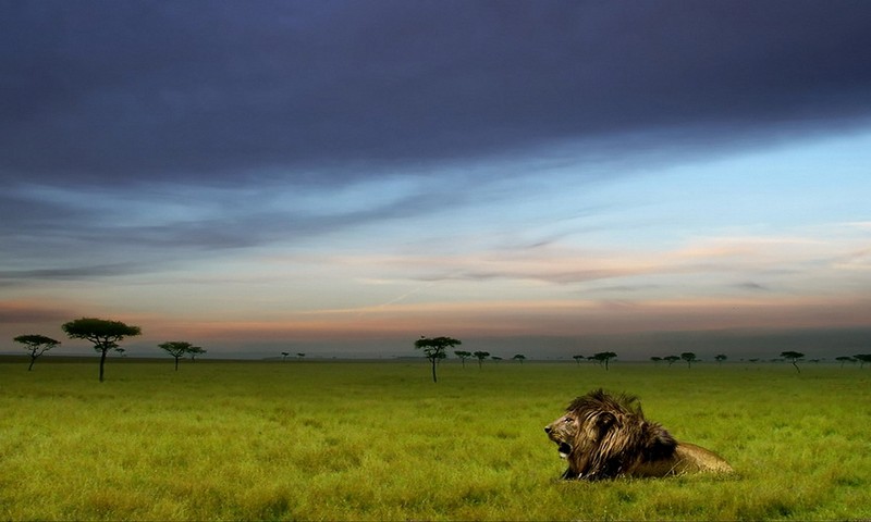 1280×768高清壁纸，喜欢就来拿，第106波