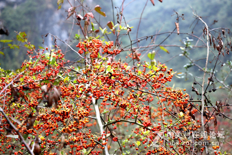 远离尘嚣，山清水秀