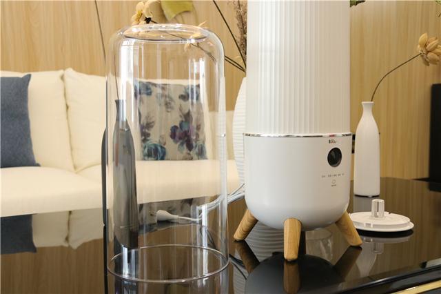 6L大水箱，加湿长达25小时，还能UV除菌！小熊加湿器体验