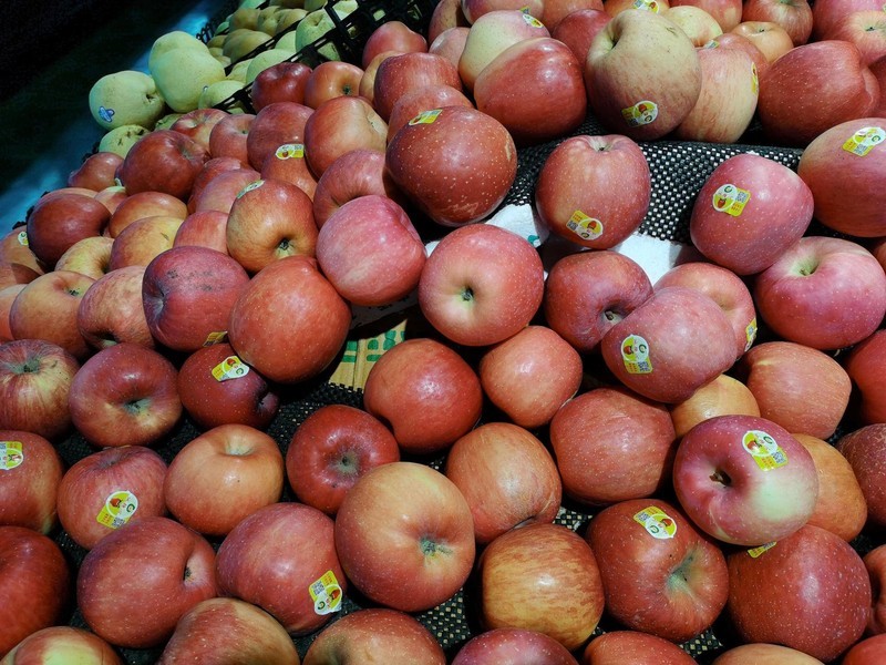 荣耀X10深度体验：这个价位荣耀能给的全给了