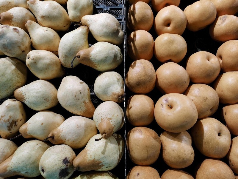 荣耀X10深度体验：这个价位荣耀能给的全给了