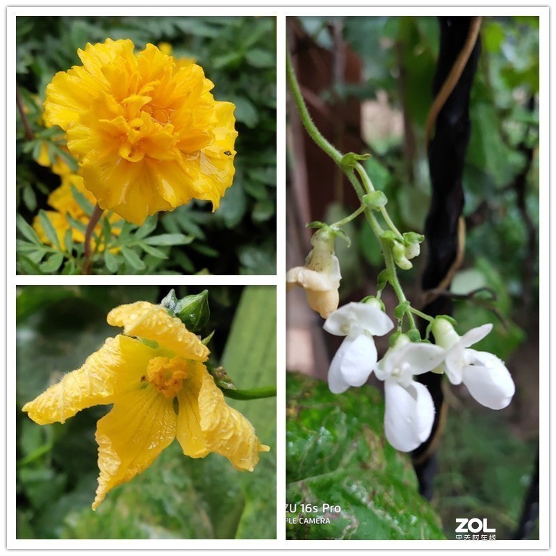 稳中求变做自己，魅族16s Pro深体验(含视频)