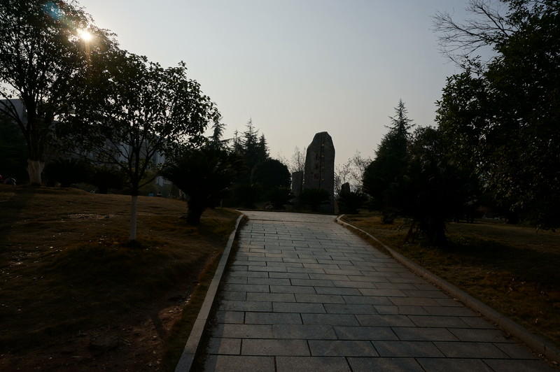 学习后期
