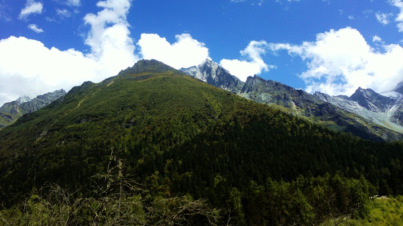 诺基亚C6-01，800全幅对焦手机，旅游随拍