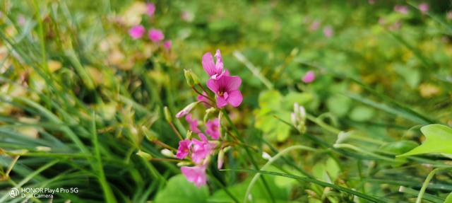 荣耀Play4 Pro评测！麒麟990重器、“旗舰级”5G手机普及者