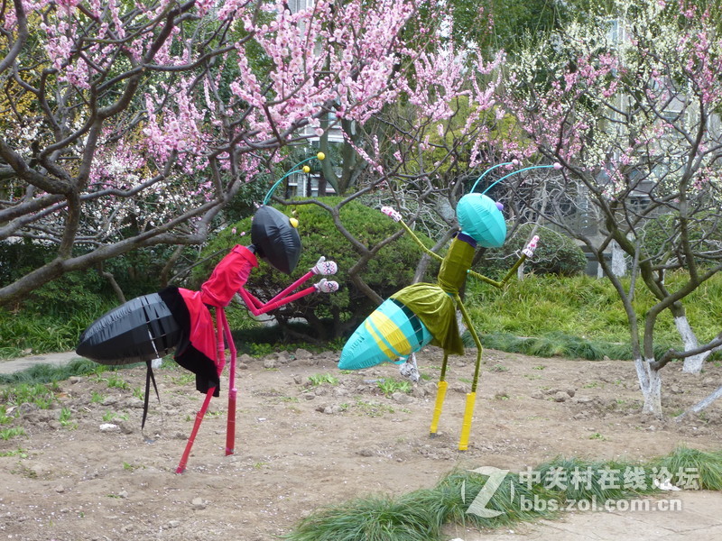 2015上海莘庄公园梅花展随拍