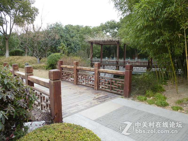 2015上海莘庄公园梅花展随拍