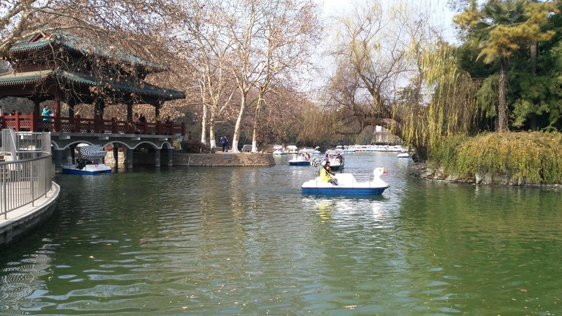 带上华为G7领略武汉唯美冬日