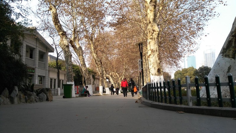 带上华为G7领略武汉唯美冬日