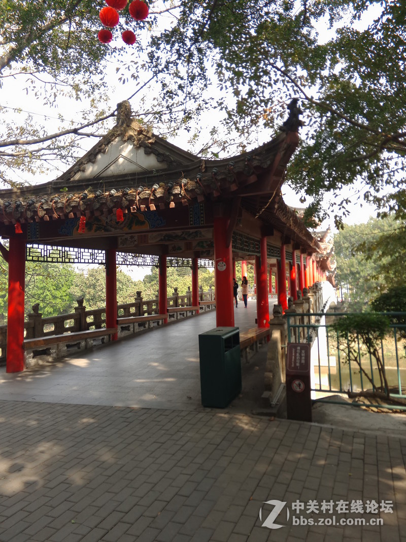 周日早上，天气还不错，用手机试拍几张