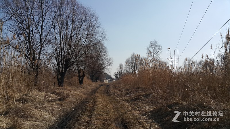 欧洲行货SM-910欧洲拍摄欧洲郊外