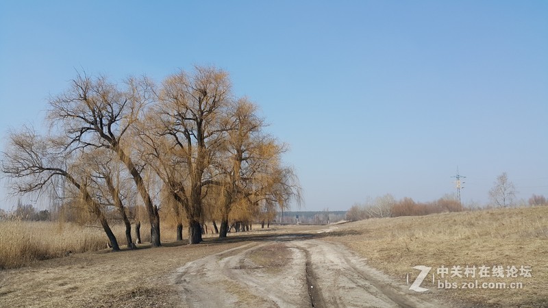 欧洲行货SM-910欧洲拍摄欧洲郊外