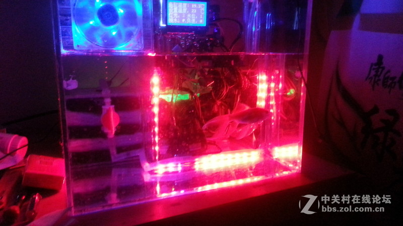 任性主机—屌丝二代