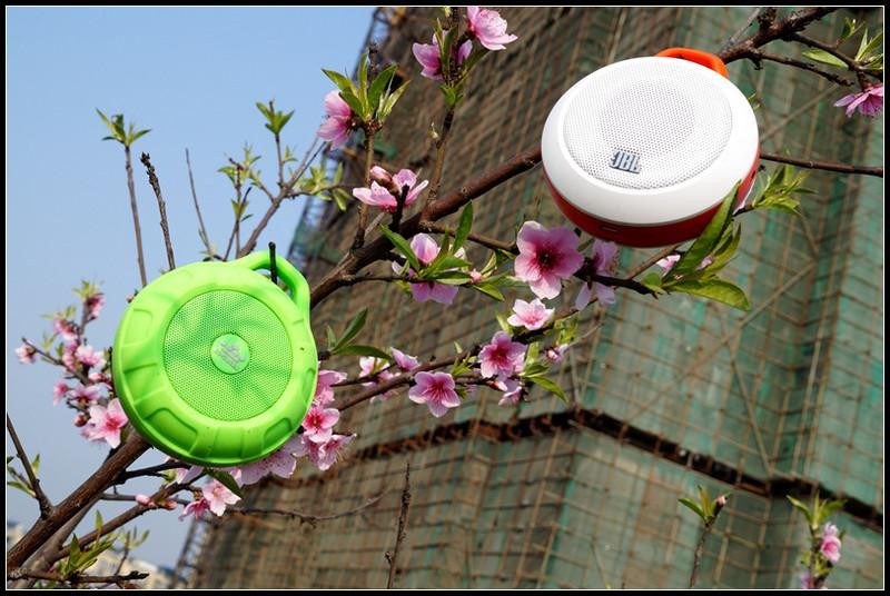 便携音乐盒！JBL Micro II和朗琴T350甲壳虫对比测试
