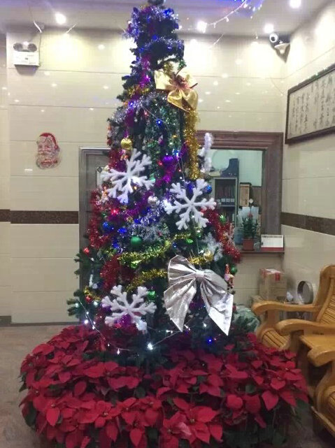 【运光呈影，快乐圣诞】身边的圣诞，圣诞快乐