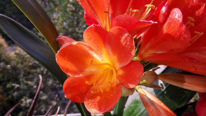 【ELIFE S7体验】 5.5mm超薄手机 ELIFE S7上手秀