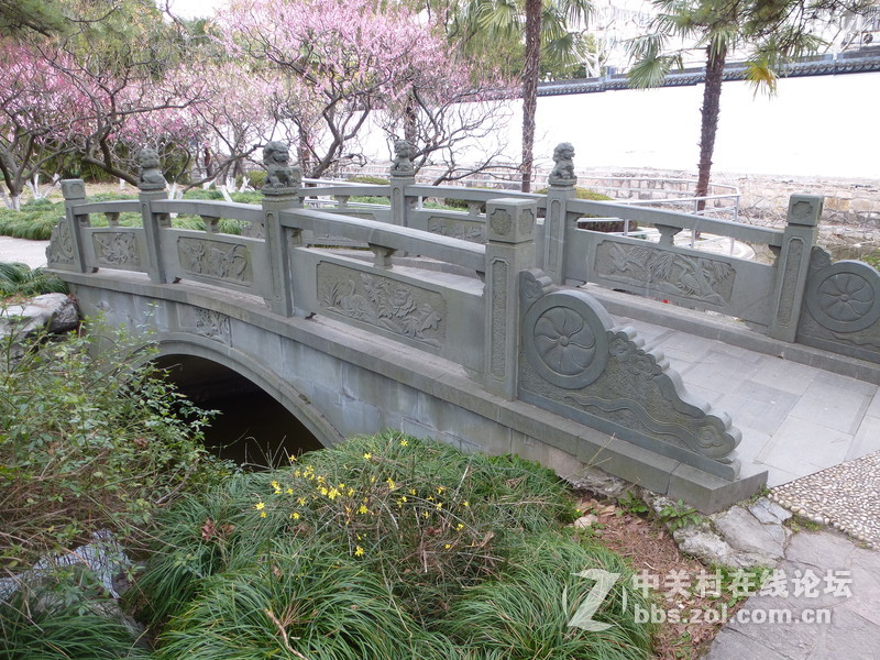 2015上海莘庄公园梅花展随拍