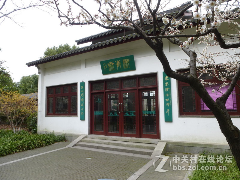 2015上海莘庄公园梅花展随拍