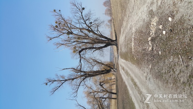 欧洲行货SM-910欧洲拍摄欧洲郊外