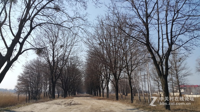 欧洲行货SM-910欧洲拍摄欧洲郊外