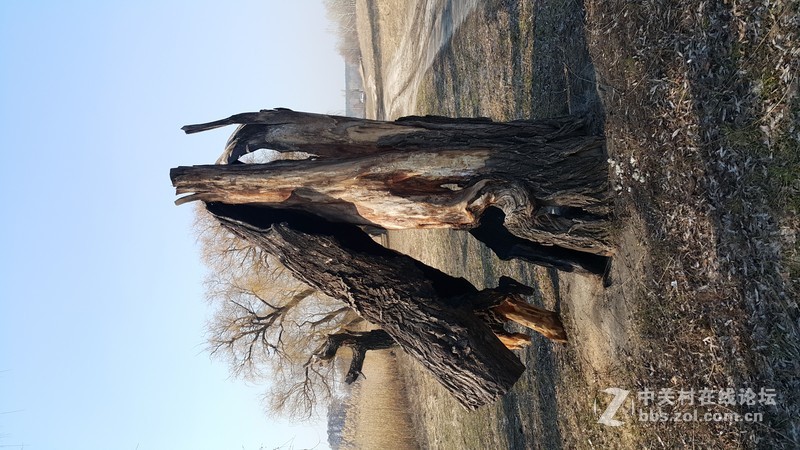 欧洲行货SM-910欧洲拍摄欧洲郊外