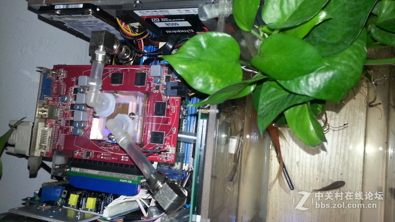 任性主机—屌丝二代