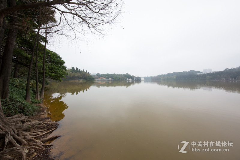 《辟谣小曲儿》尝试结合一些人像作品，辟几个常见谣言