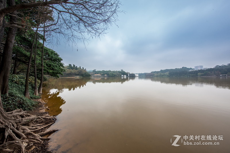 《辟谣小曲儿》尝试结合一些人像作品，辟几个常见谣言