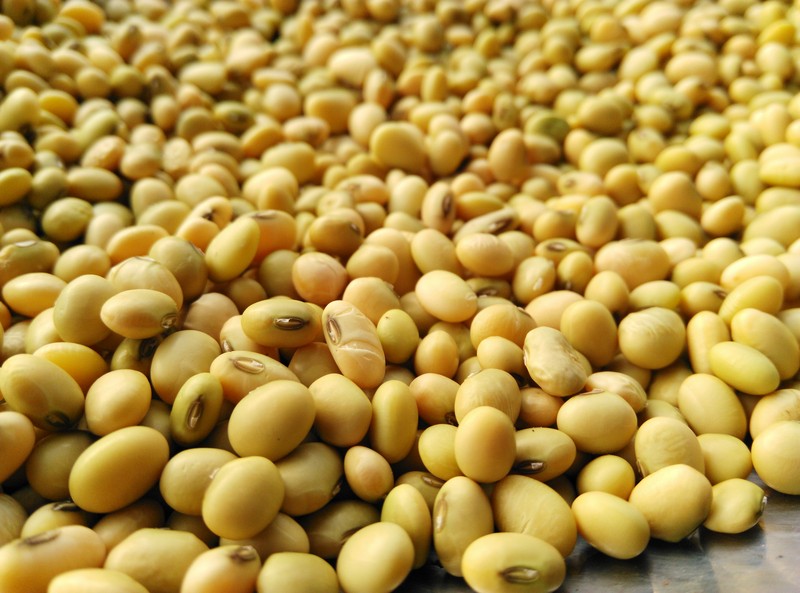 2015年春节摄影原片