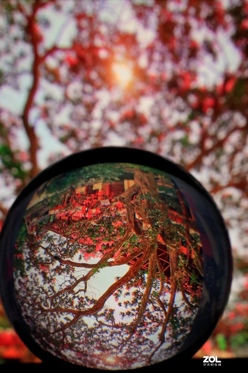 换个角度看世界