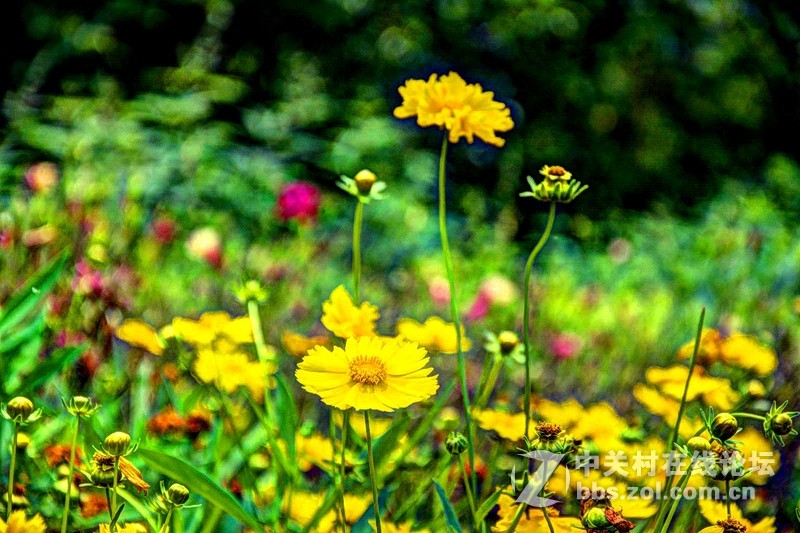 Photomatix Pro 处理几张照片效果