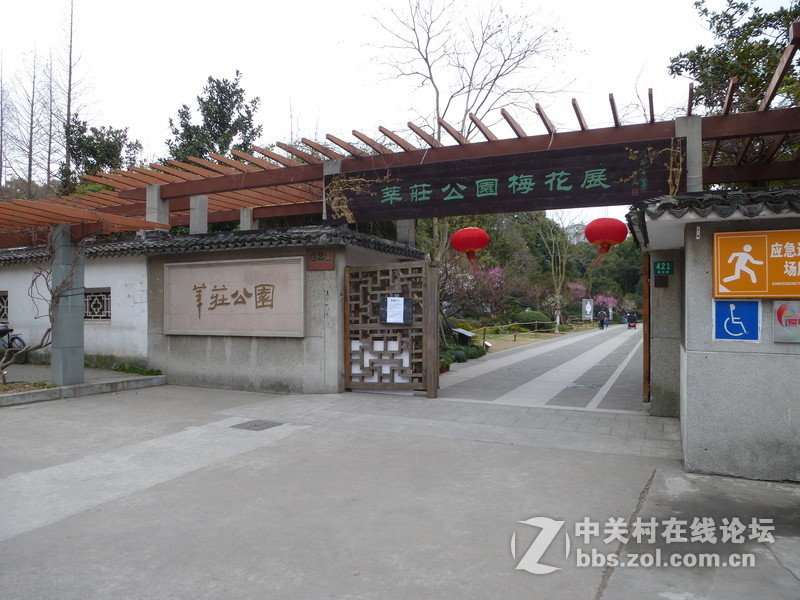 2015上海莘庄公园梅花展随拍