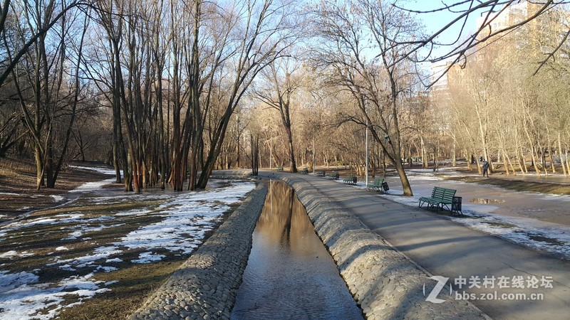 欧洲行货SM-910H拍摄早上开春公园